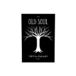 Old Soul Zinfandel 2022